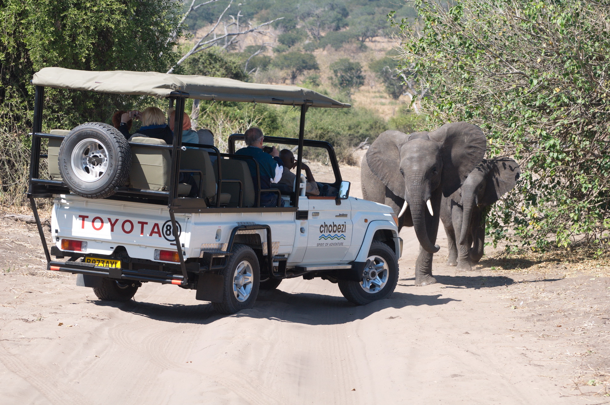 Shearwater - Chobe Game Drive
