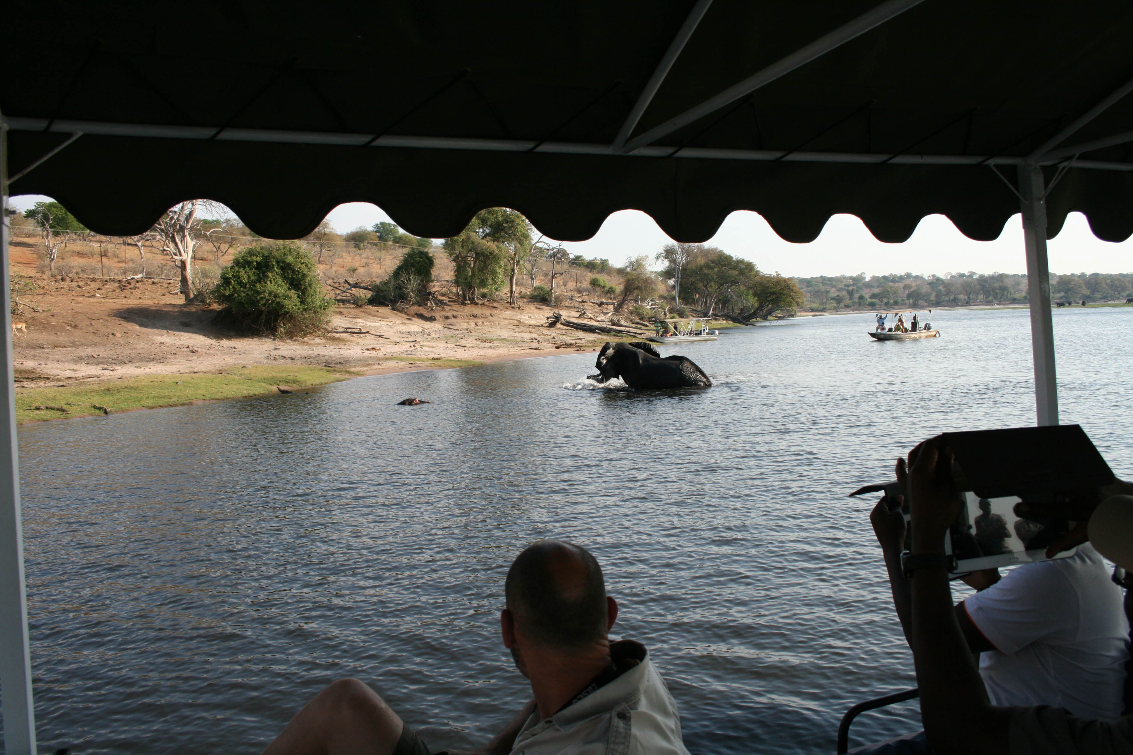 Shearwater - Chobe Sunset Cruise