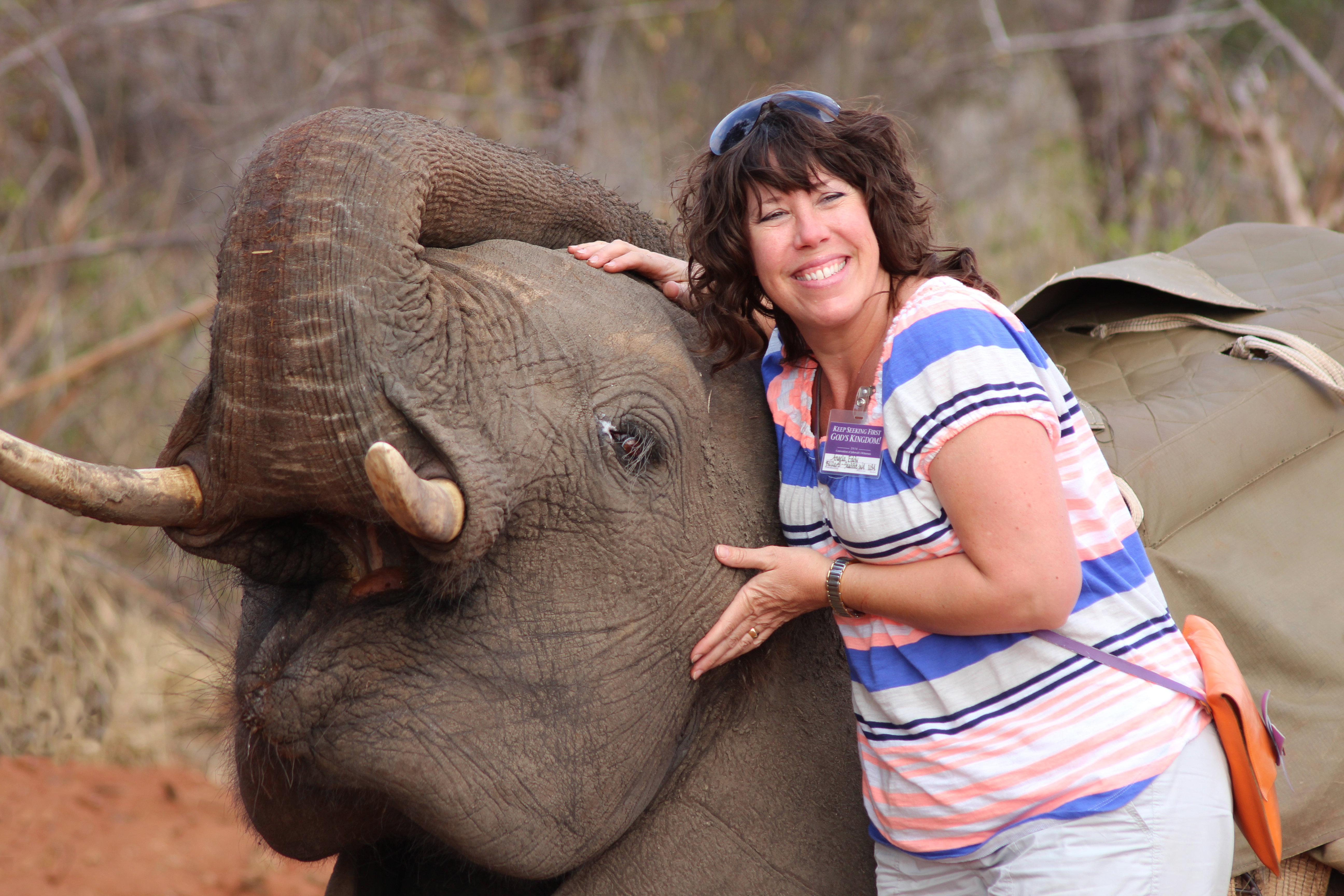 Elephant Interaction