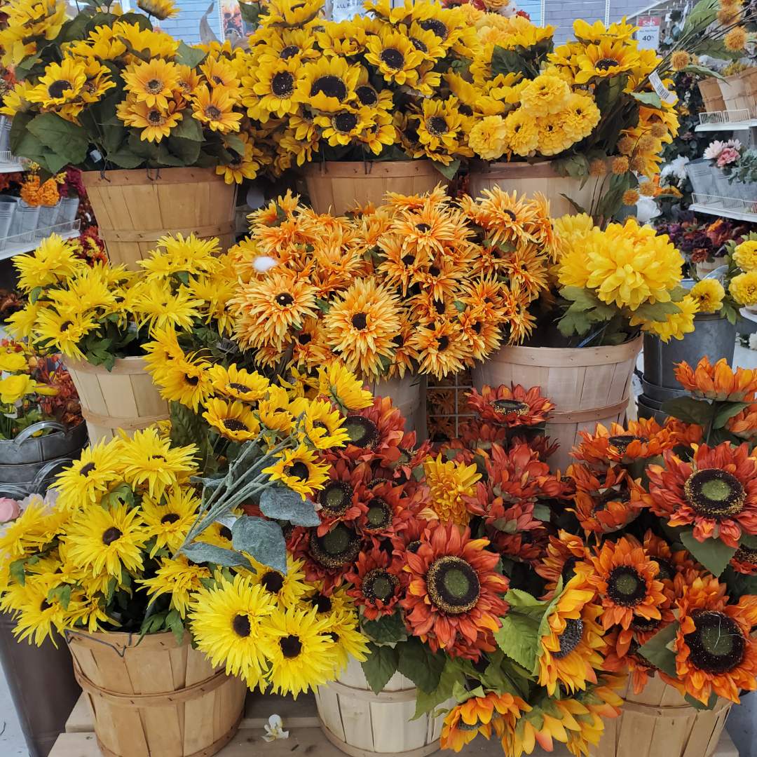 Fall Decor In Local Stores
