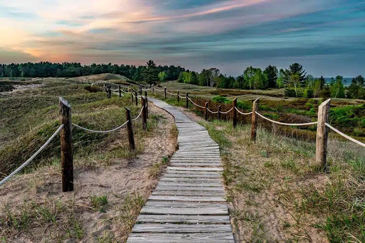 Kohler-Andrae State Park Photo