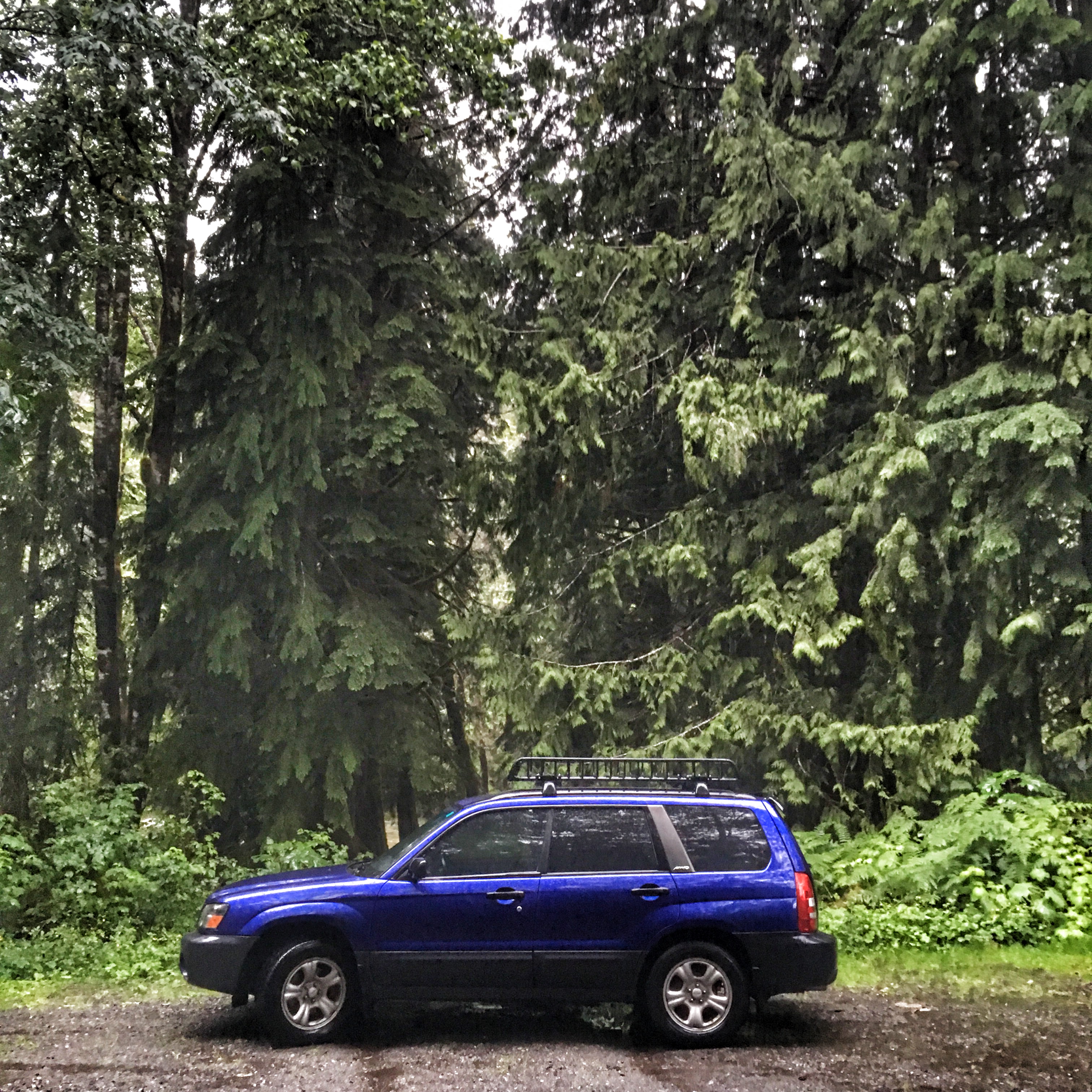 The new (to us) rig! 2003 Subaru Forester