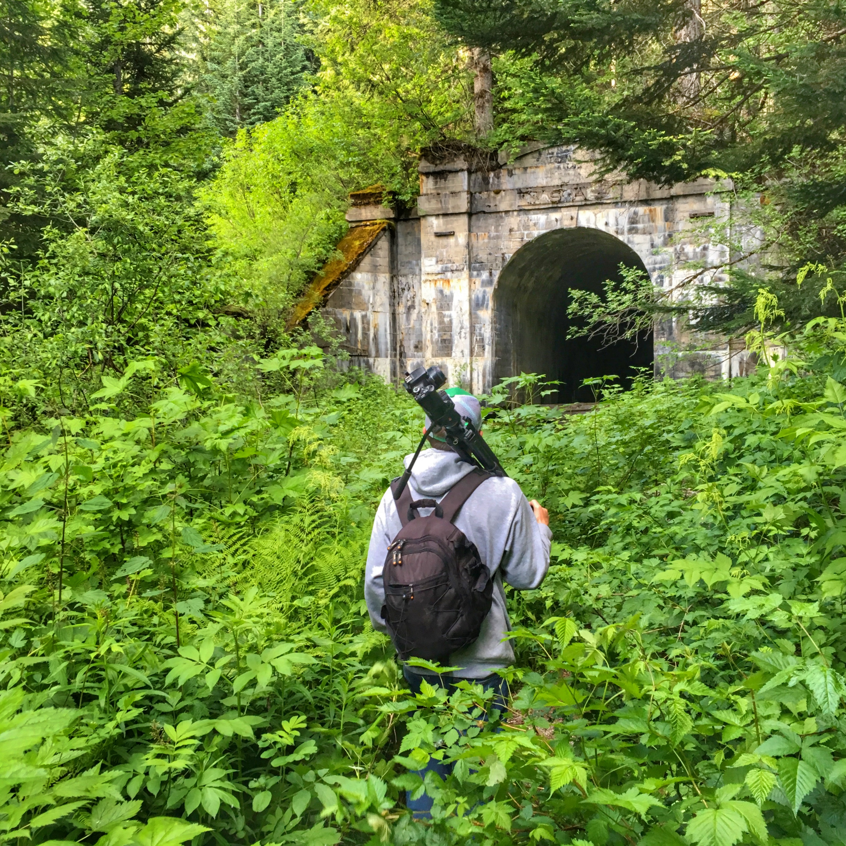 Looking for Wellington, WA June, 2016