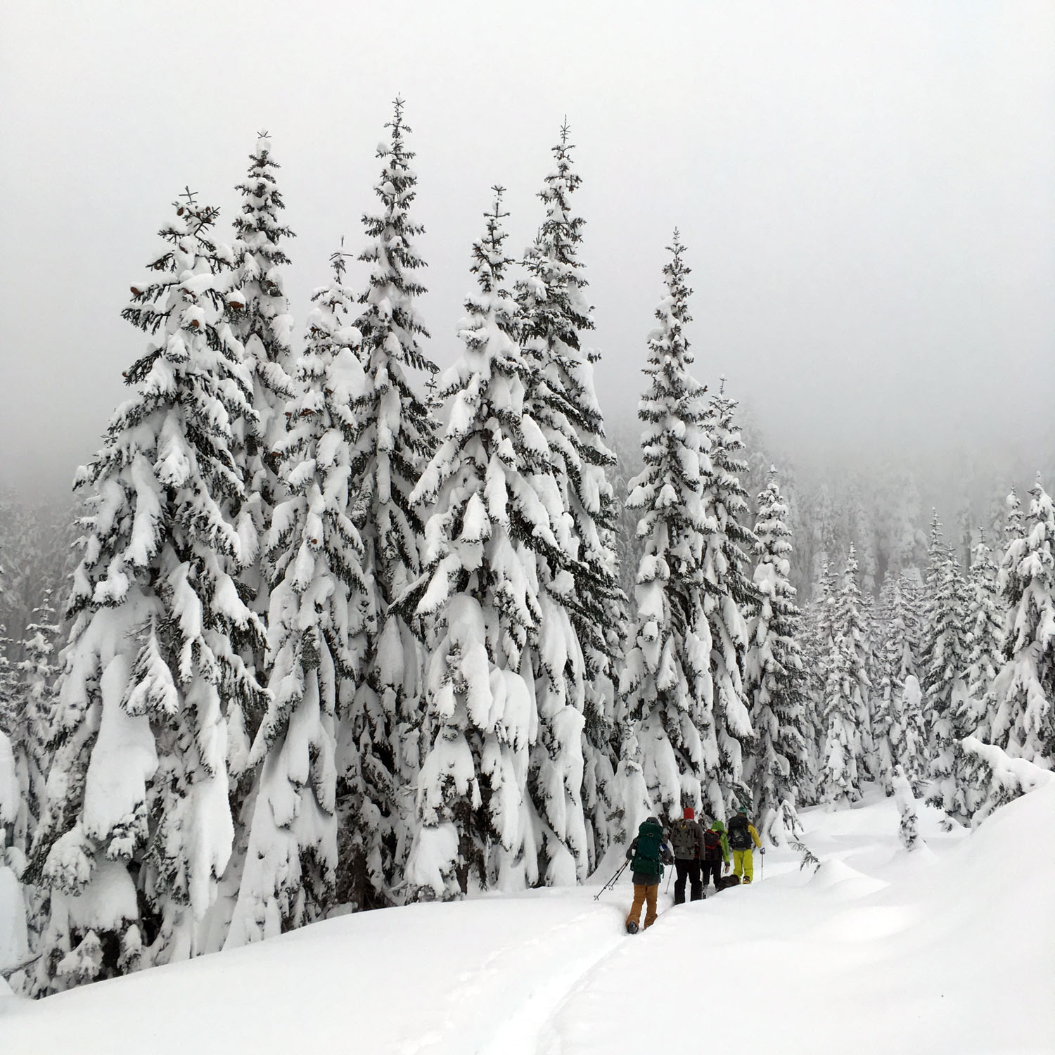 Oregon back country. December, 2016
