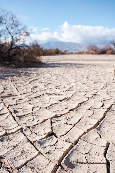 Furnace Creek mud cracks 1