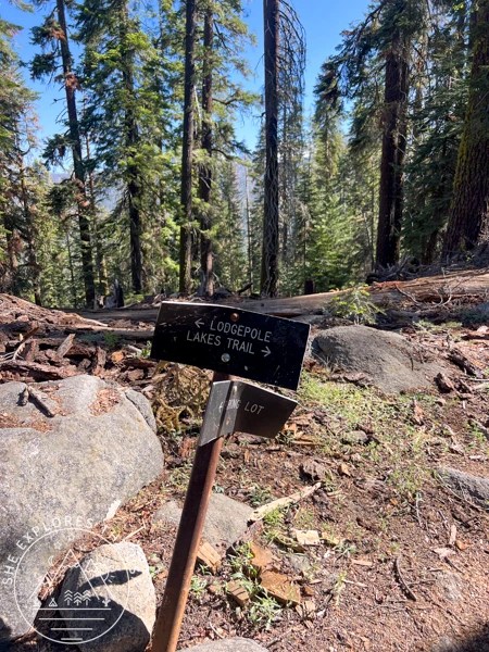 Lakes Trail and Wolverton intersection in Sequoia National Park