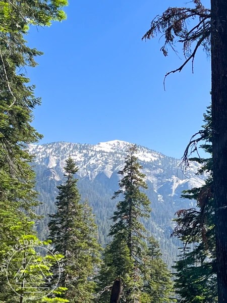 scenic views in Sequoia National Park