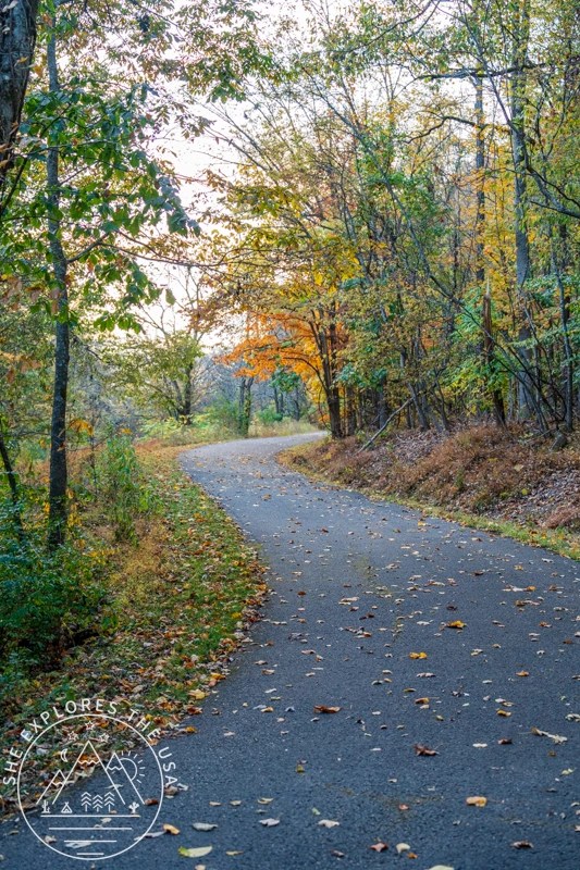 Percy Warner Park in Nashville