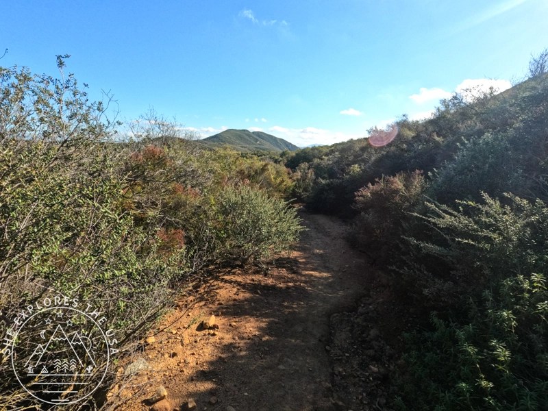 scenic trail to sitton peak