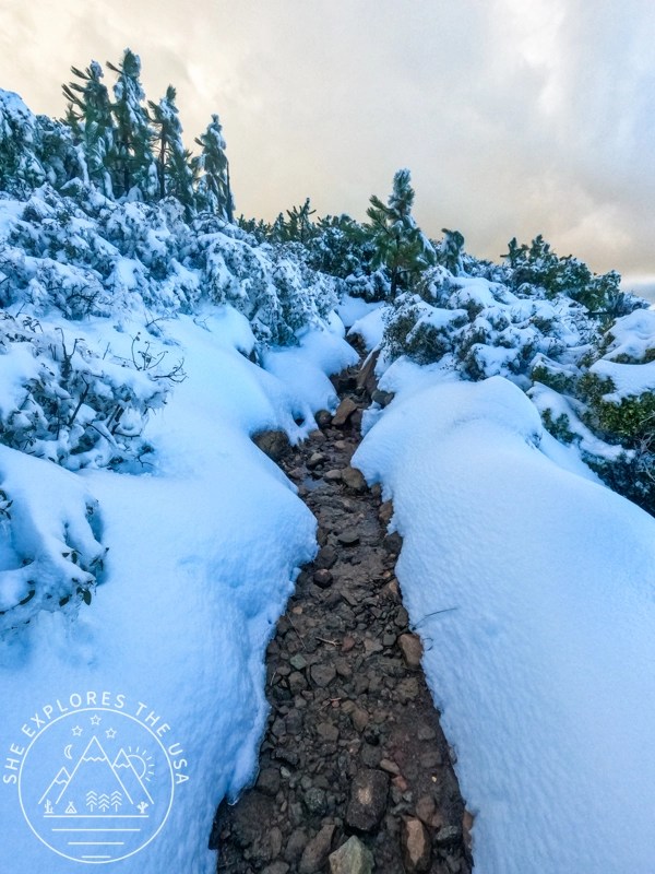 the trail becomes a stream