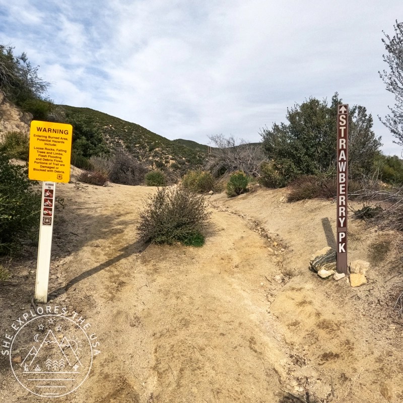 Strawberry Peak trailhead