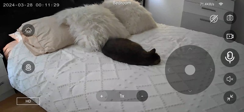 Pet monitoring systems: pet camera view with light on or by day