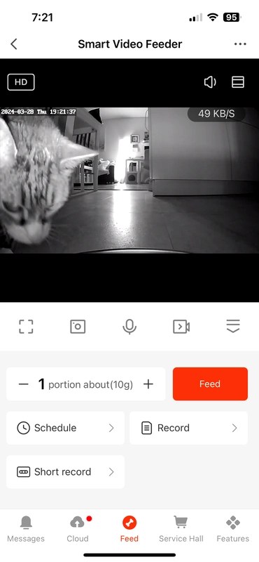 view of the cat eating by night -Pet monitoring systems