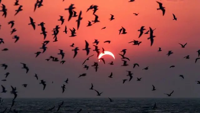 Sou caçadora de eclipses