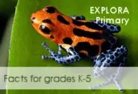 Close-up image of an orange-and-black poison dart frog perched on a branch against a green background. Partial text reads 'Explore Primary' and 'for grades K–5,'