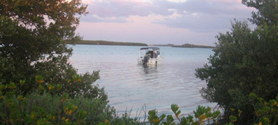 Shell Key Crunchbase Company Profile Funding - Ocean Illustration Collection - Desktop Quality