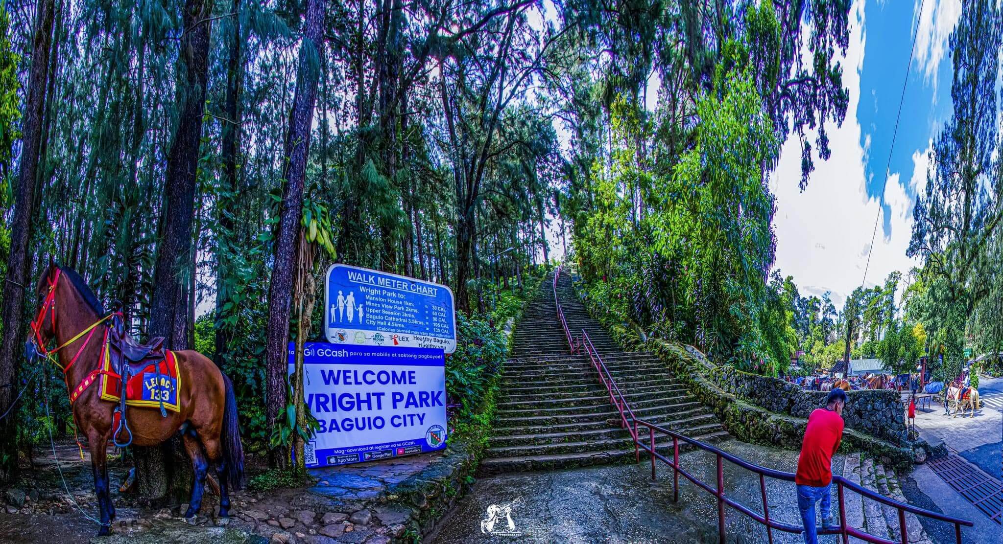 wright-park-baguio-signage-shellwanders