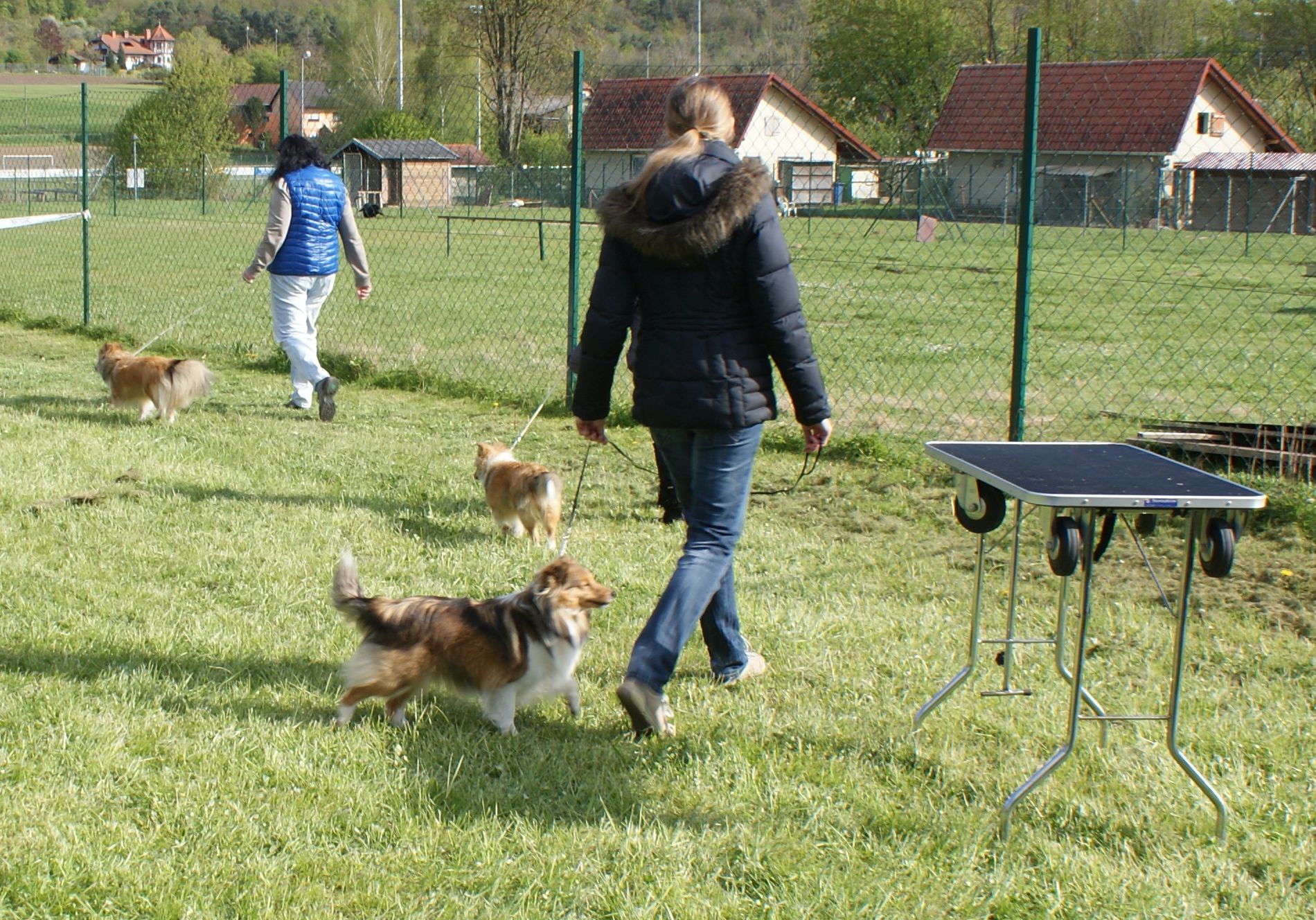 Leipzig gewinnt am ende hochverdient, da die gastgeber auch auf den frühen ausgleich im zweiten durchgang die . Shetland Sheepdog Interessengemeinschaft e&V&