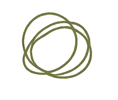 Navigating life transitions icon