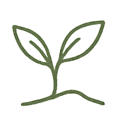 Transitions icon