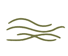 Strengthening boundaries and self-trust icon