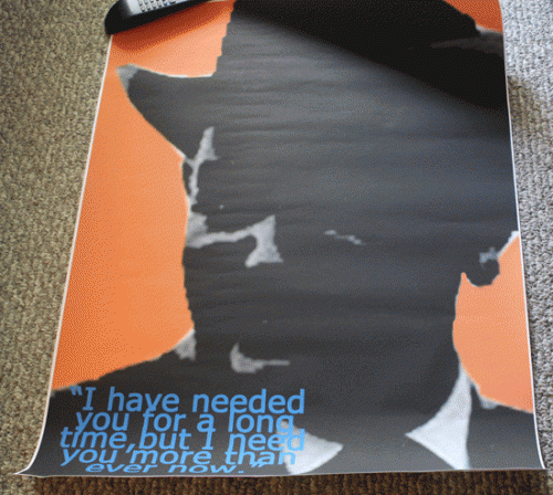 lyndonposter
