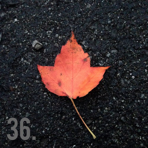 36