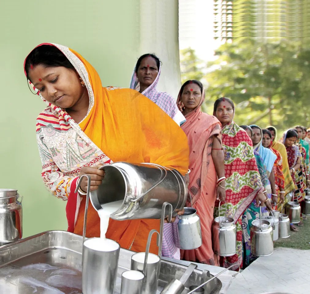 sundarini