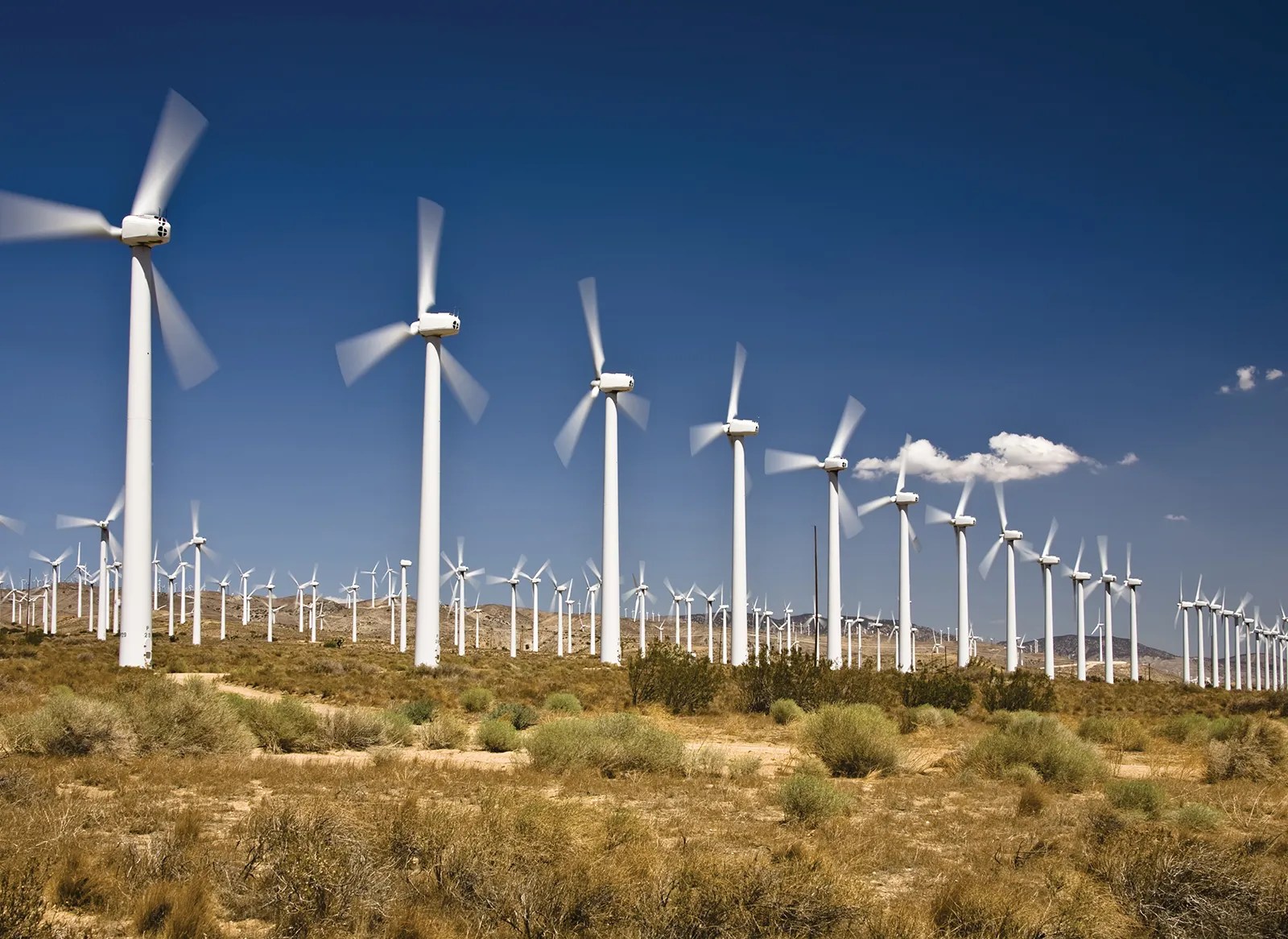 Blueprint for the Future: Divya Tyagi’s Elegant Solution to Maximize Wind Turbine Power