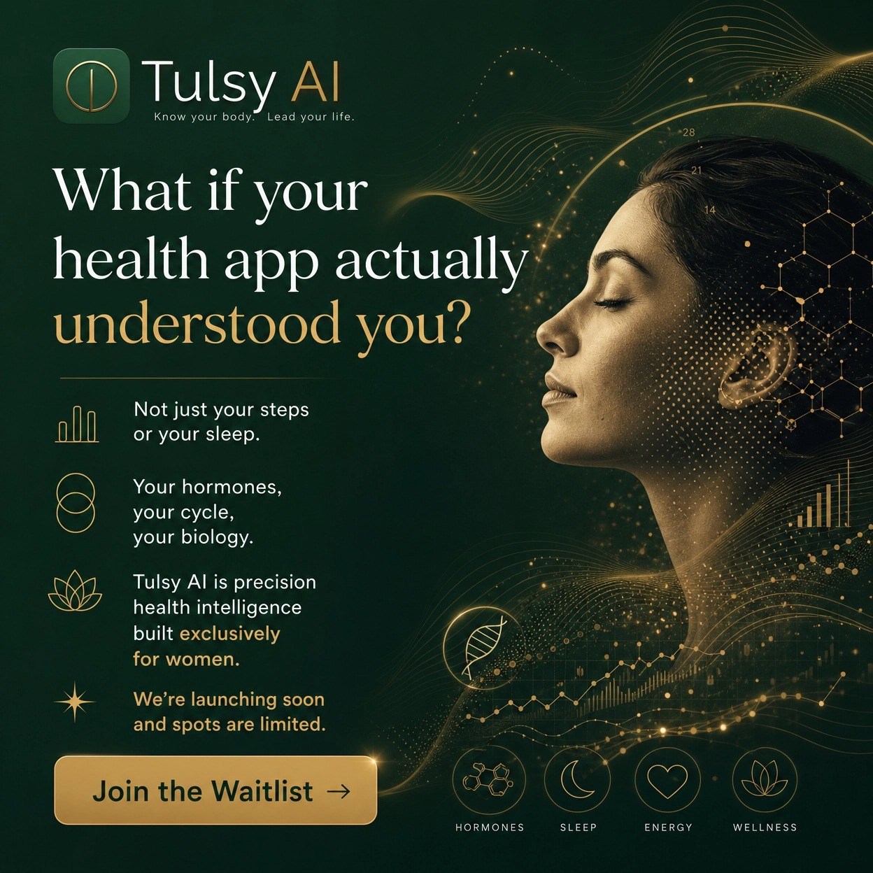 TulsyAI poster
