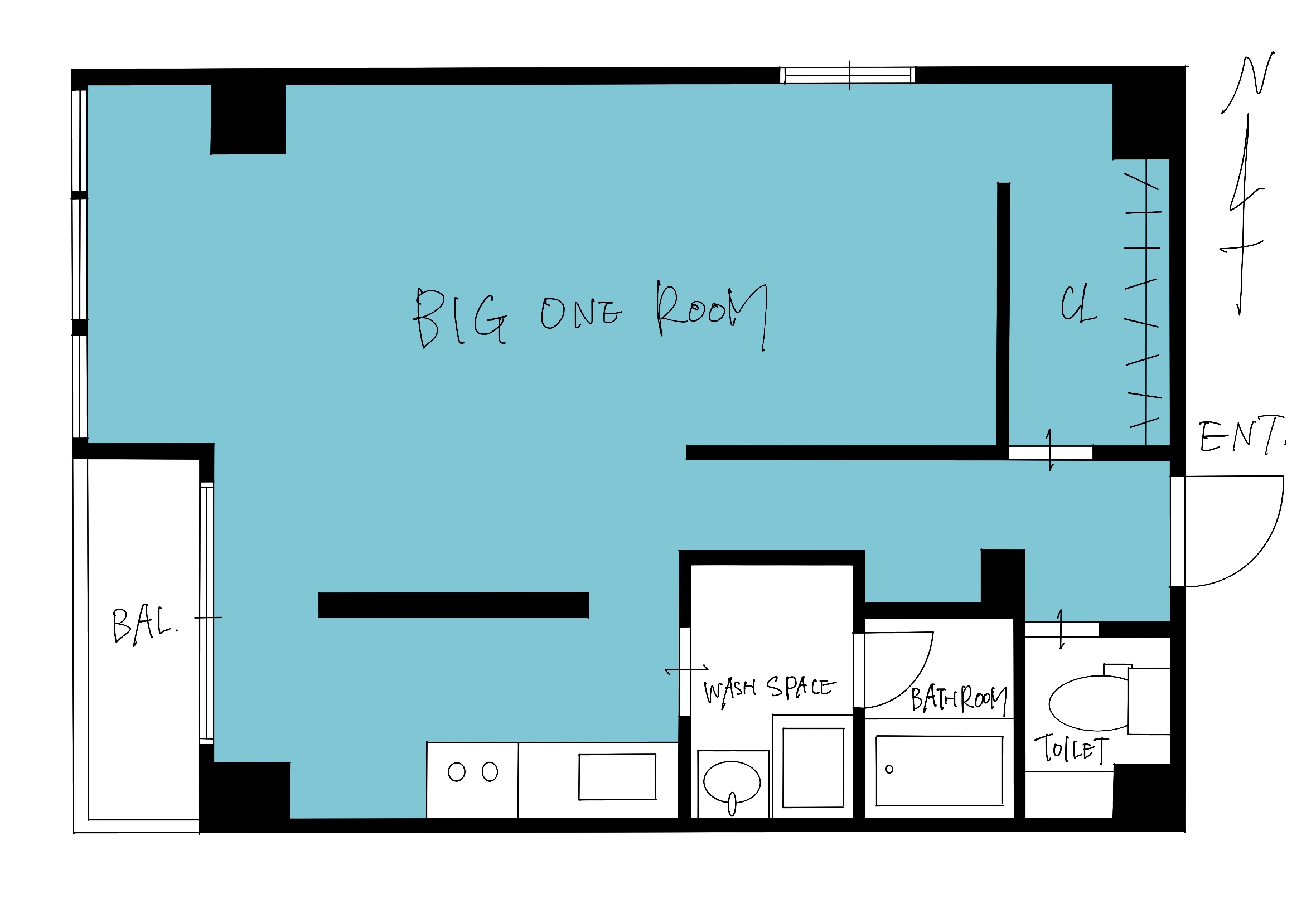Floor plan of a large open room labeled 'BIG ONE ROOM' with a wash space, bathroom, toilet, and closet areas along the right side and entry on the far right.