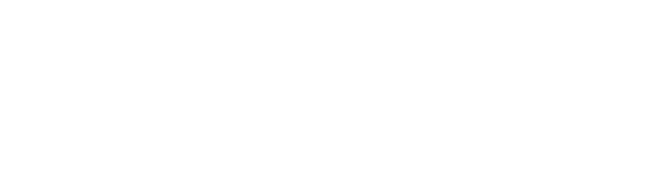 Savant