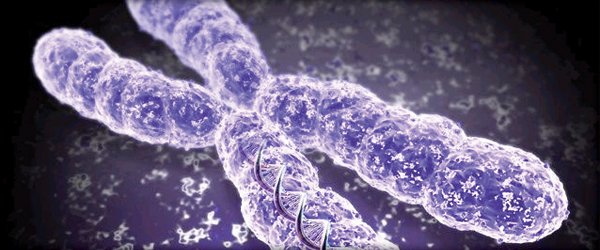biophotons
