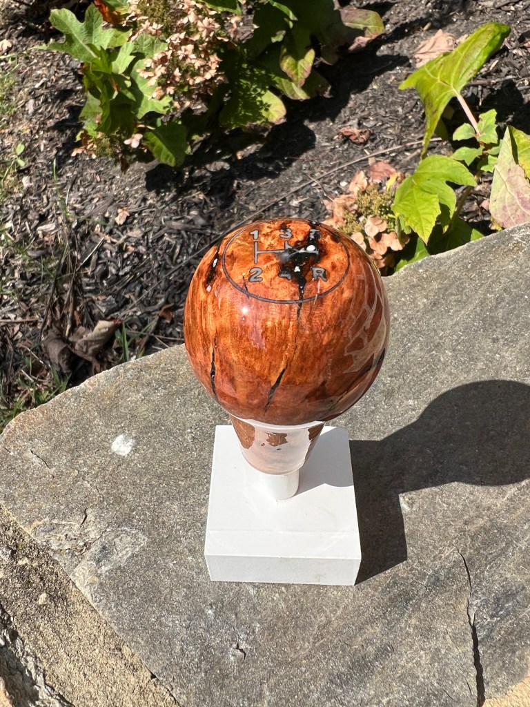 Maple burl