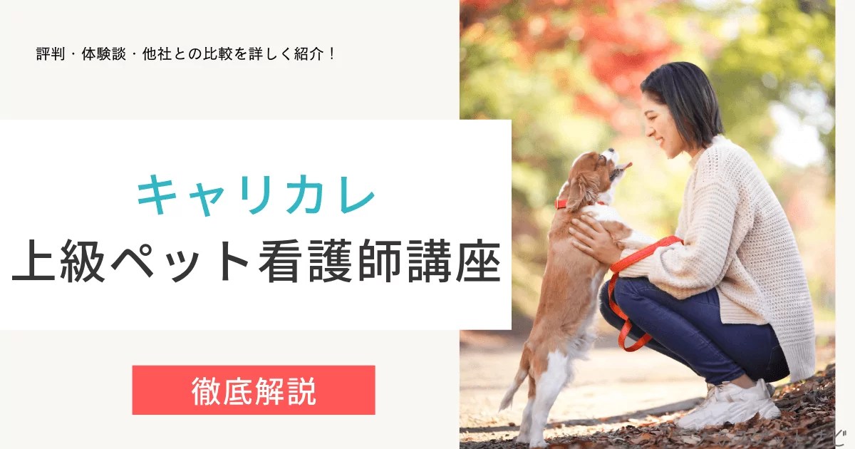 その他 数量限定・即納特価!! キャリカレ講座 上級ペット看護士 lp4wz0rlgi