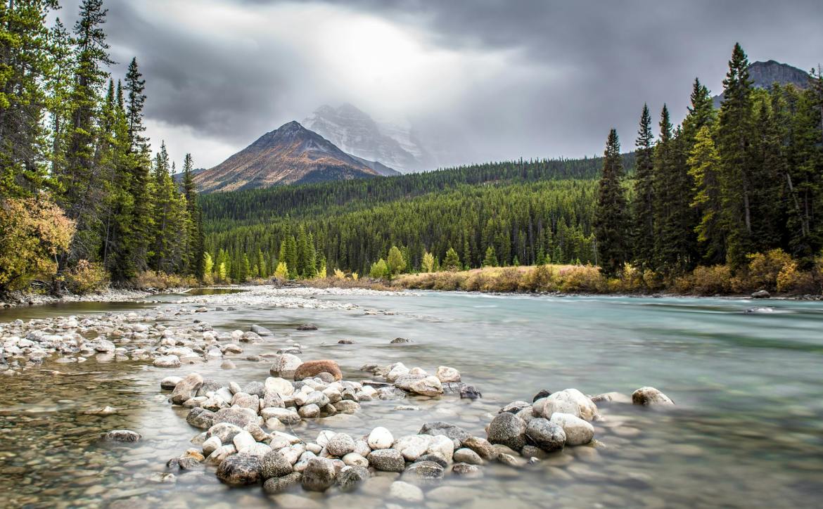 landscape photography of river surrounded by trees
