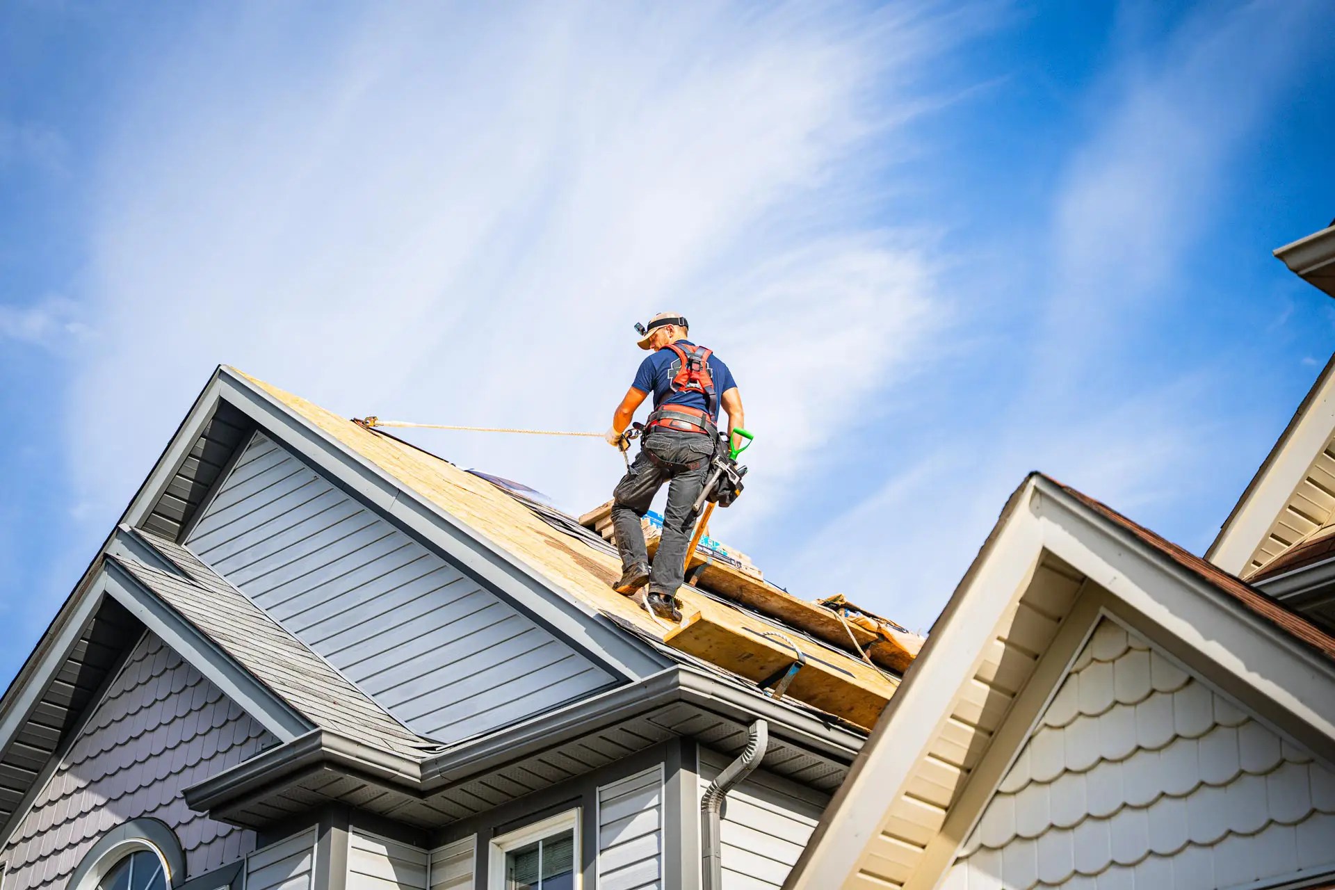 Professional roofer installing asphalt shingles on residential roof using safety harness and fall protection system