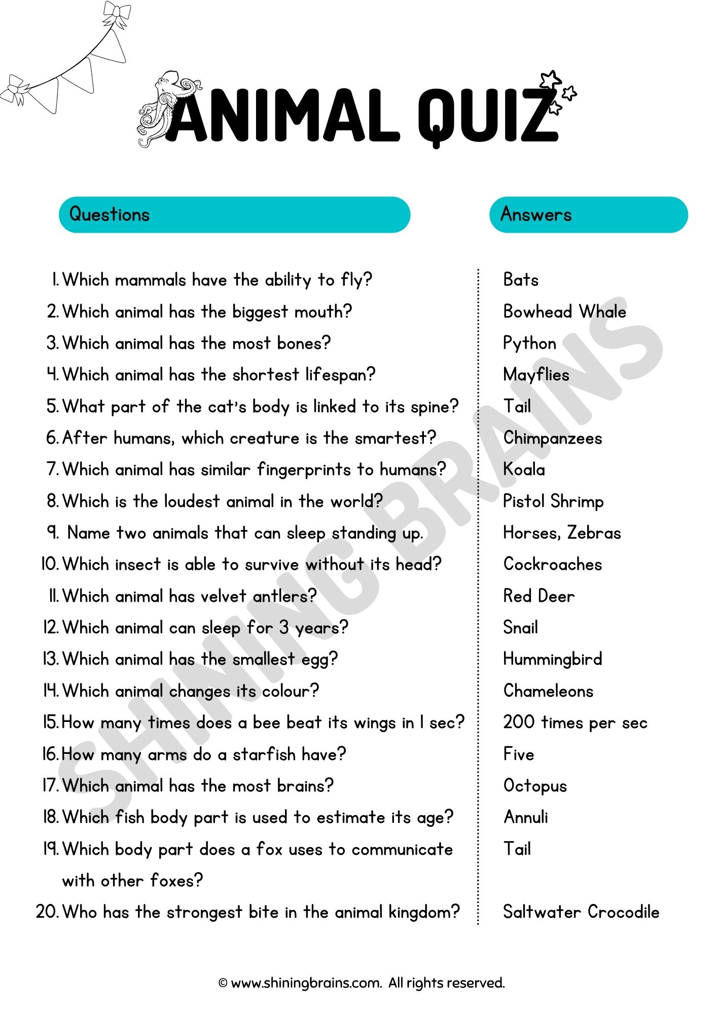 150+ best quiz questions for kids with answers