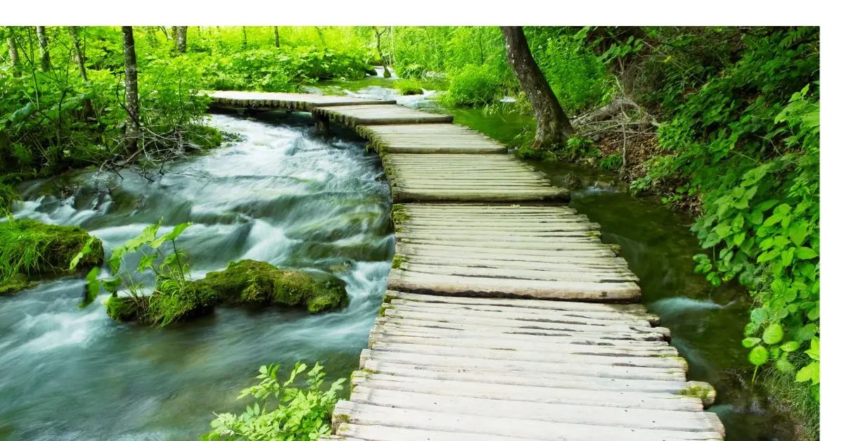 Master Architect of the Universe