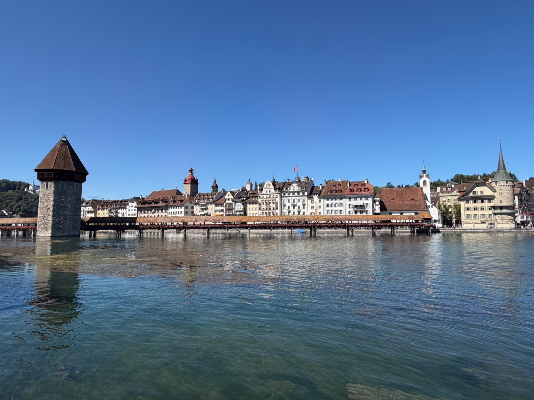 Swiss Pretzels