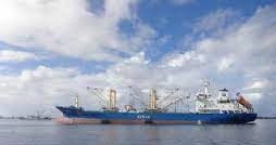 Maritimt 102 Kai Robert - Premium Geometric Image Gallery - 4K