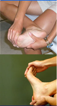 Heel Spur