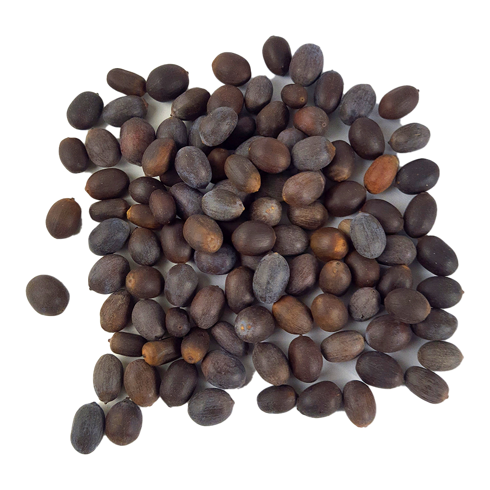 Lotus Seeds (110 pcs)