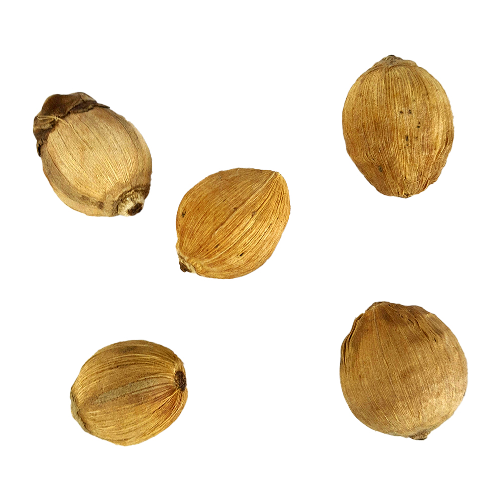 Sri Phalalu 5 Pcs