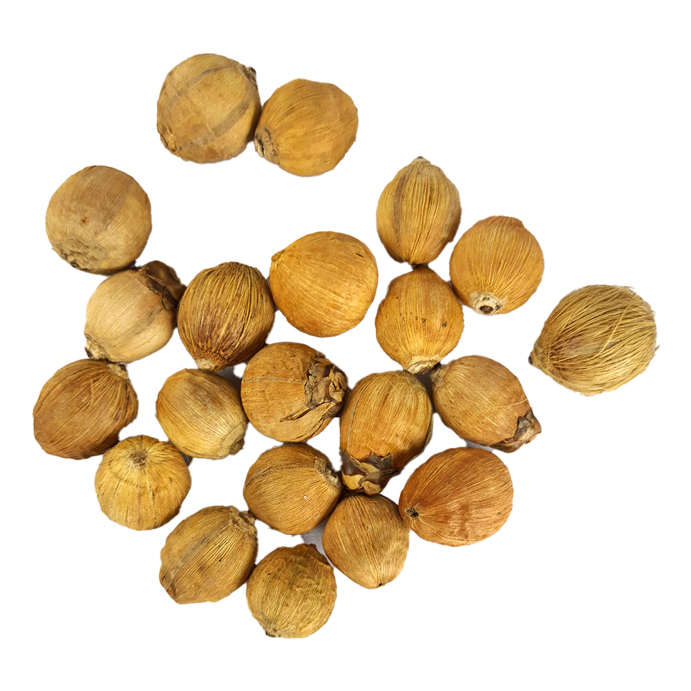 Sri Phalalu 21 Pcs