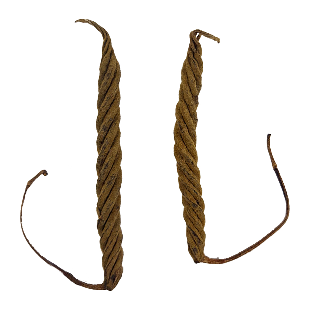 Elamuri Balamuri
