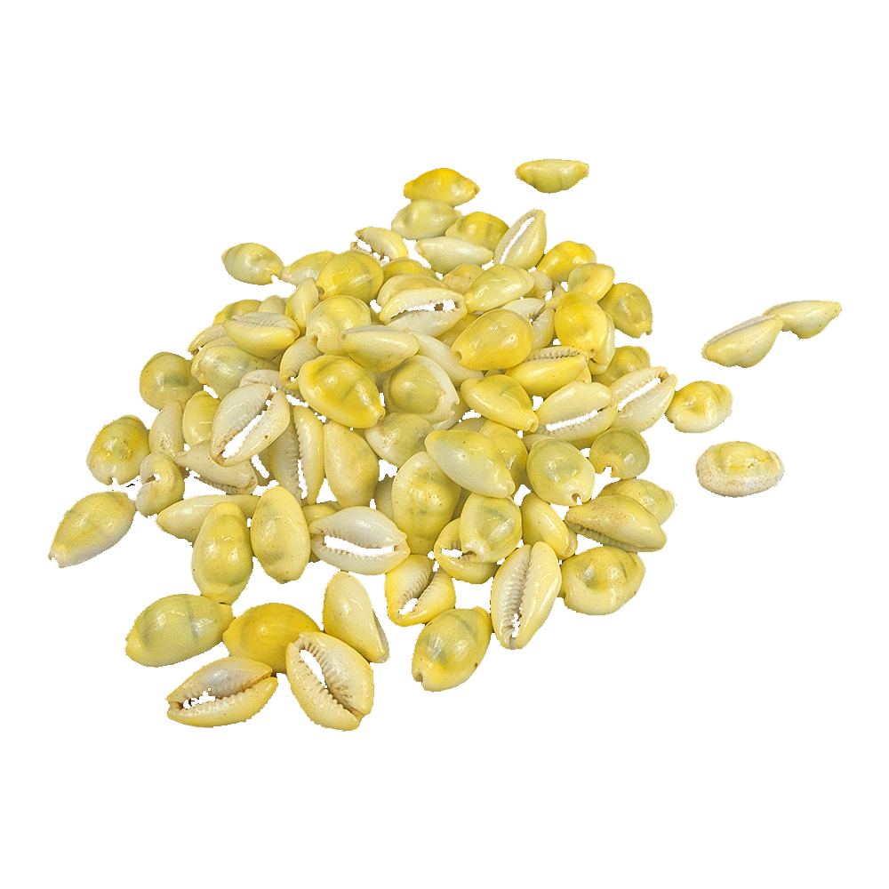 Lakshmi Koudi/Gavvalu Big (110 pcs)