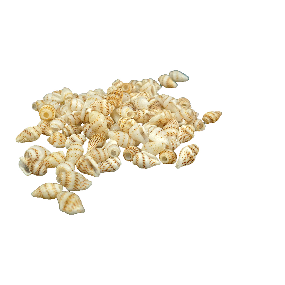 Lakshmi Pooja Shankhu Small (110 pcs)