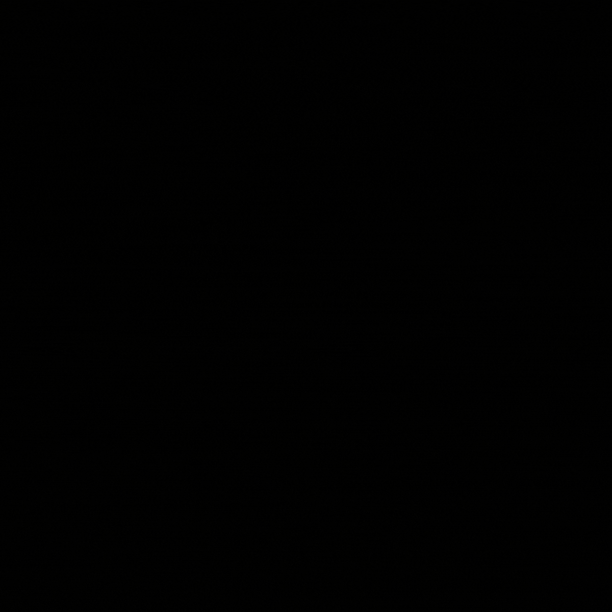 Shoaib - Website 5