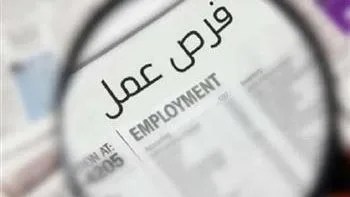 القليوبية تُطلق 1120 فرصة عمل جديدة لدعم الشباب ومواجهة البطالة